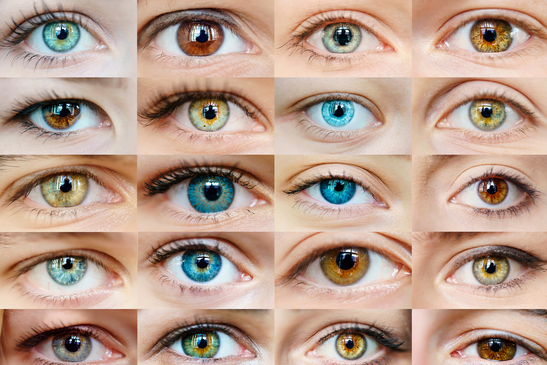 Jaké jsou barvy očí?