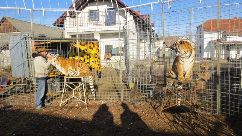 Jaromír Joo a jeho tygři