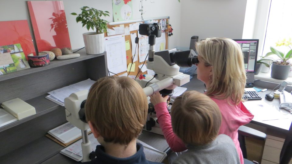 Mikroskop na patologii - Markéta Nová, Matyáš a Tomáš