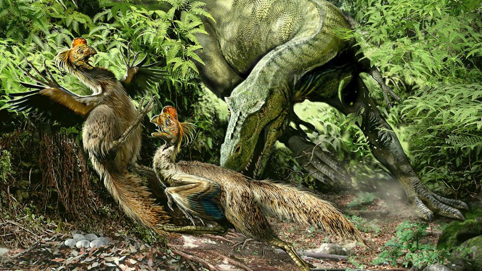 Alioramus a oviraptors