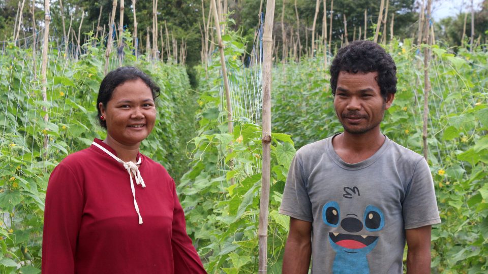 Farmáři v Kambodži