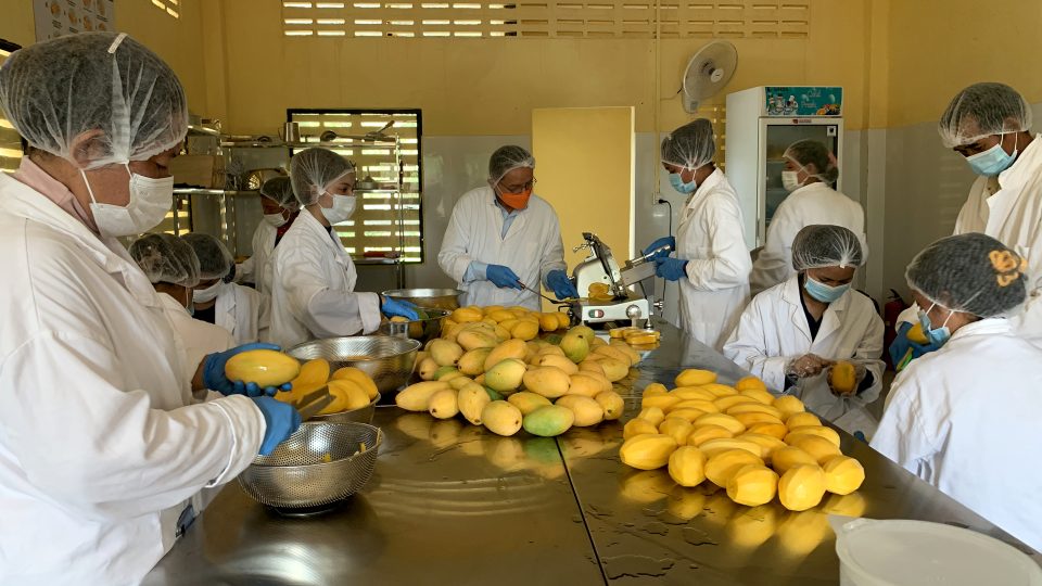 Farmářům neziskovka pomáhá zpracovávat plodiny (jako třeba mango), které by jinak nestačili prodat na trhu