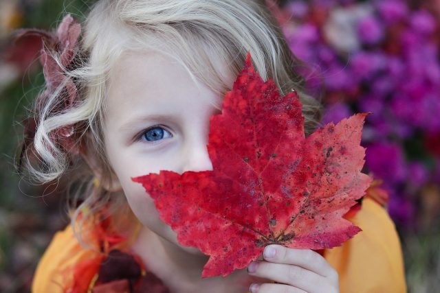 Objevte kouzlo podzimu | foto: Fotobanka Pixabay