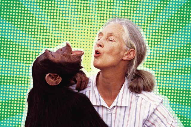 Jane Goodall | foto: Europa Press Reportajes / ContactoPhoto / Profimedia