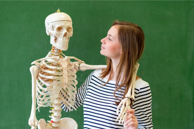 Víte,  kolik kostí je v lidském těle? | foto: Shutterstock
