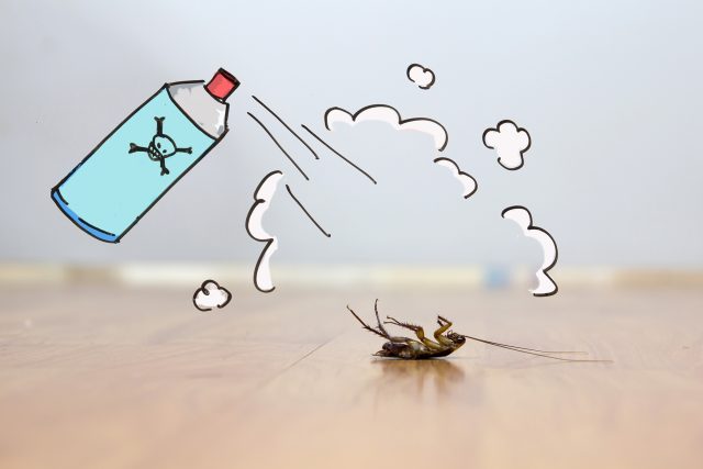 Poznáte,  jestli vám doma leze neškodný brouček,  nebo problémový škůdce? | foto: Shutterstock