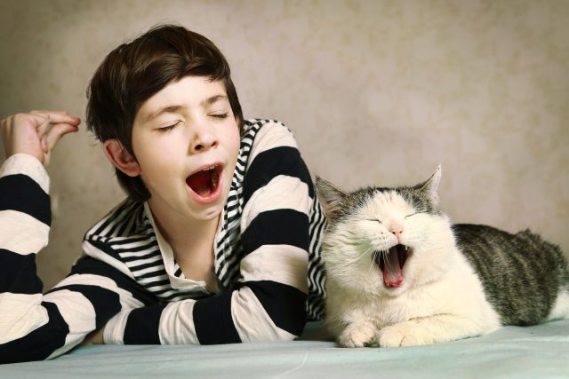 Zívají lidi i zvířata | foto: Shutterstock