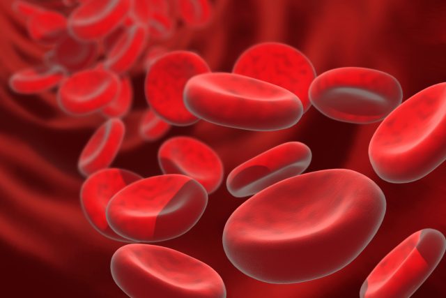 Krvinky v počítačové simulace | foto: Shutterstock