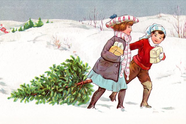 Přesun vánočního stromečku na staré pohlednici | foto: Shutterstock