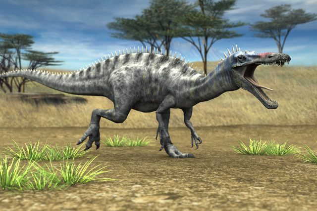 Takhle nějak mohl vypadat dinosaurus suchomimus | foto: Shutterstock