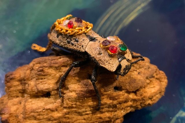 Maquech je v Mexiku označení pro živé brouky zdobené jako šperky | foto: Shutterstock
