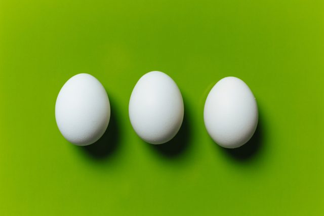 I savci mohou snášet vejce | foto: Shutterstock