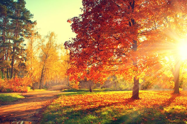 Podzim barví listí | foto: Shutterstock