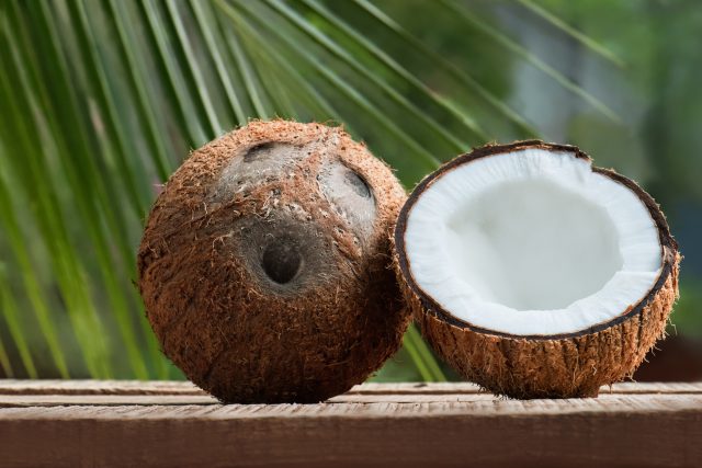 Skořápka kokosu může vzdáleně připomínat obličej nebo lebku | foto: Shutterstock