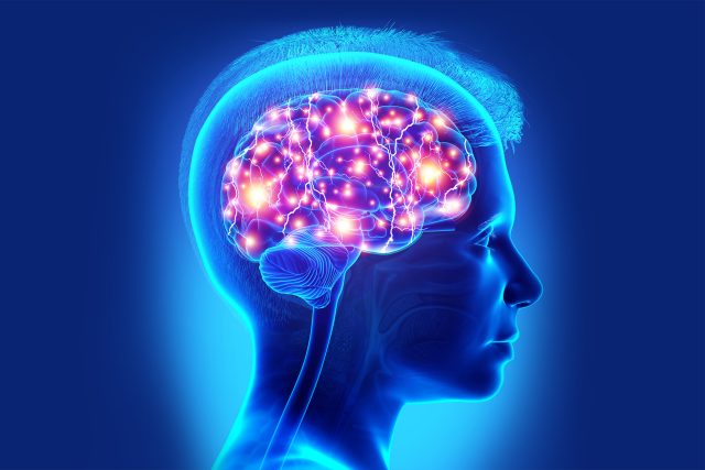 Co všechno víte o mozku? | foto: Shutterstock