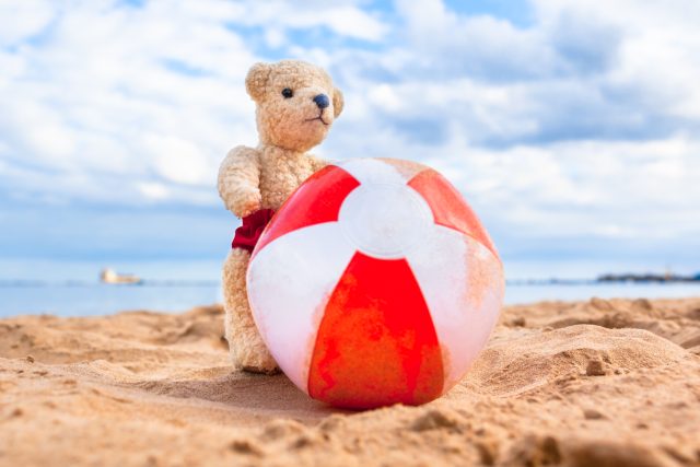 Zaplatili byste svému plyšákovi dovolenou? | foto: Shutterstock