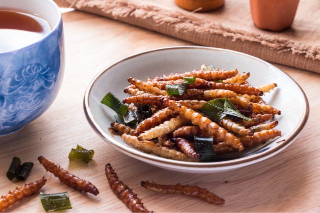 Je libo červíka k obědu? | foto: Shutterstock