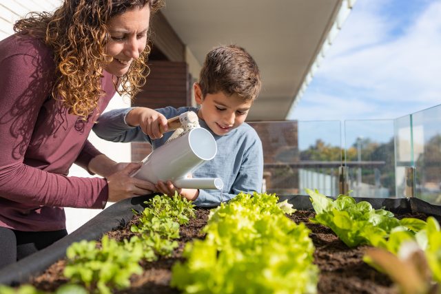 Pěstování je legrace | foto: Shutterstock