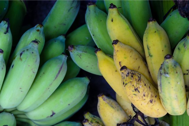 Stříbřitě modrou barvu má tenhle banán jen když není zralý | foto: Shutterstock