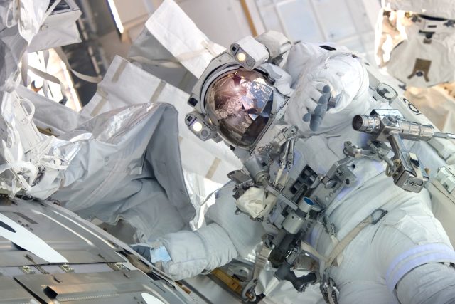 Kosmonauti už zkoušeli ve vesmíru pěstovat chilli papričky nebo zelí  (ilustrační foto) | foto: Shutterstock