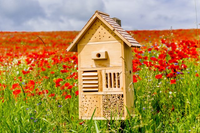 V hmyzím domečku zkombinujte různé materiály a velikosti otvorů | foto: Shutterstock