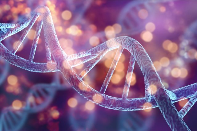 Takhle nějak vypadá zvětšená DNA | foto: Shutterstock
